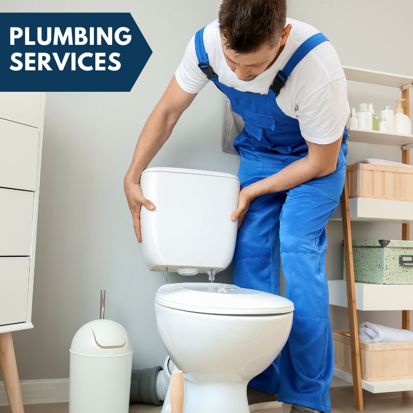 Plumbing Company in Tonica, IL